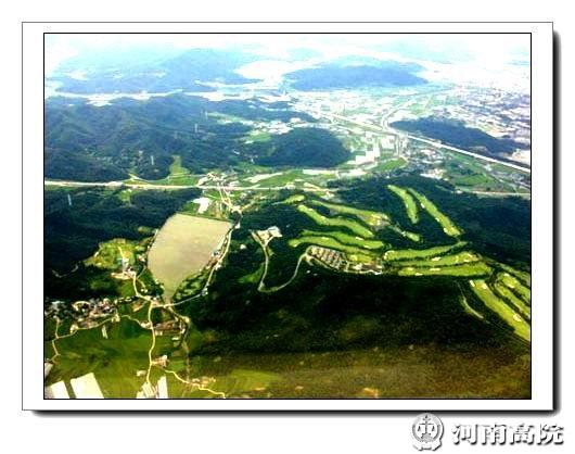 韩国大丘人口_韩国人口