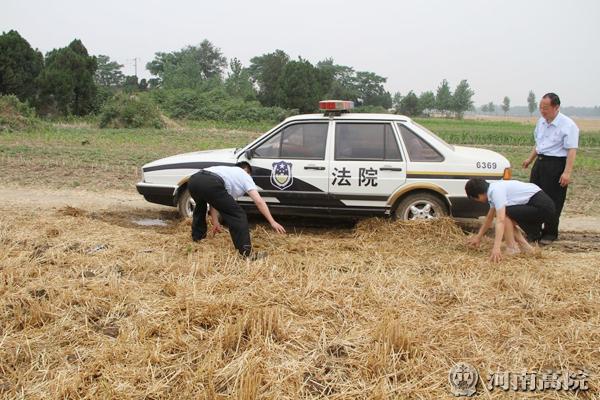 遂平镇上人口有多少_遂平一高图片(3)