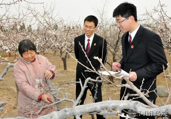 法官梨园释民惑